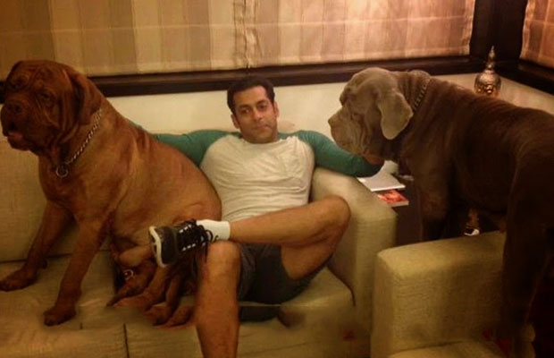 Indian Celebrities and Their Pet Dogs