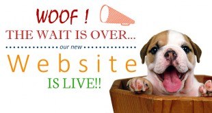 DogExpress - Dog Express India’s first dog infotainment website