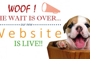 DogExpress - Dog Express India’s first dog infotainment website