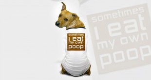 dog-eating-poop