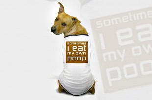 dog-eating-poop