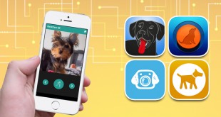 Apps for dog owners