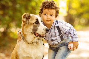 how kids should intereact with dogs