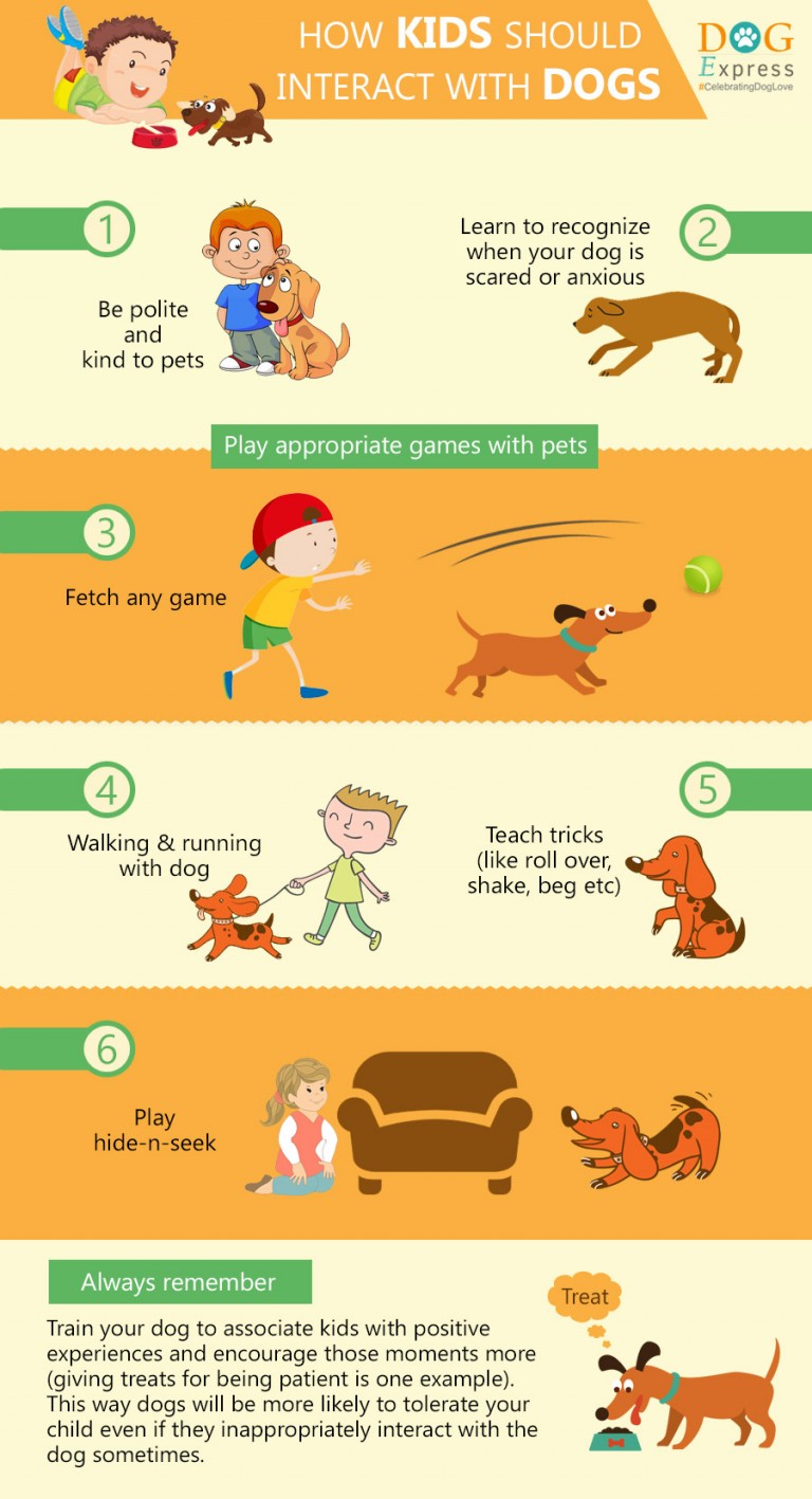 How Kids Should Interact With Dogs [Infographic] | DogExpress