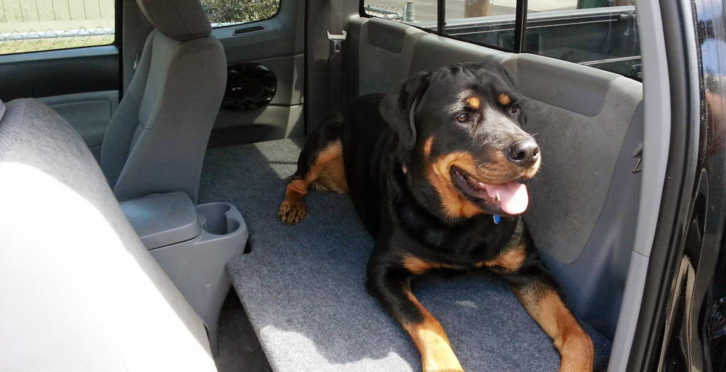 wagging tails