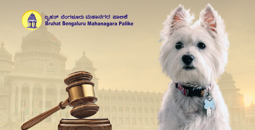 Pet by-laws