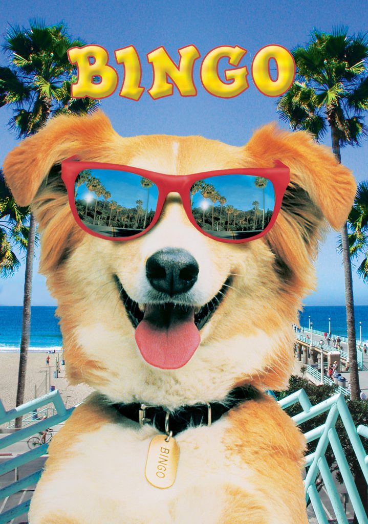 10 Best Dog Movies That Every Dog Lover Must Watch DogExpress