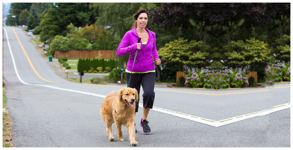 Dog Walking Service
