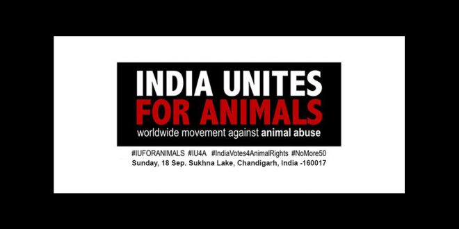 India Unites For Animals