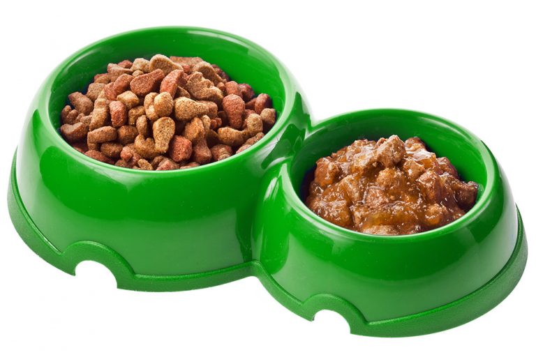 Tips To Choose The Right Dog Food For Your Pet Dog DogExpress