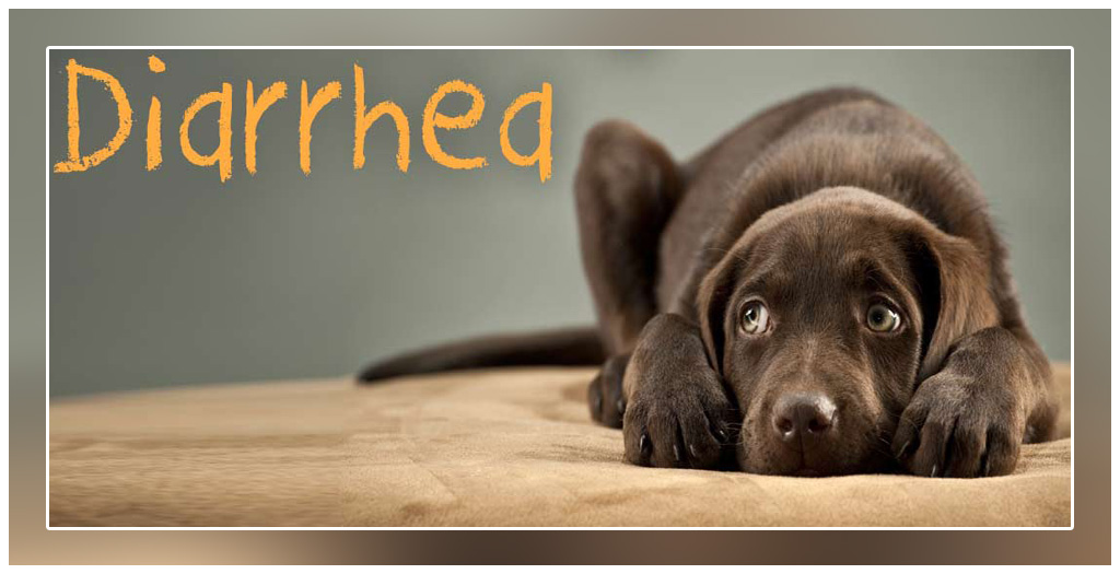 Causes of diarrhea