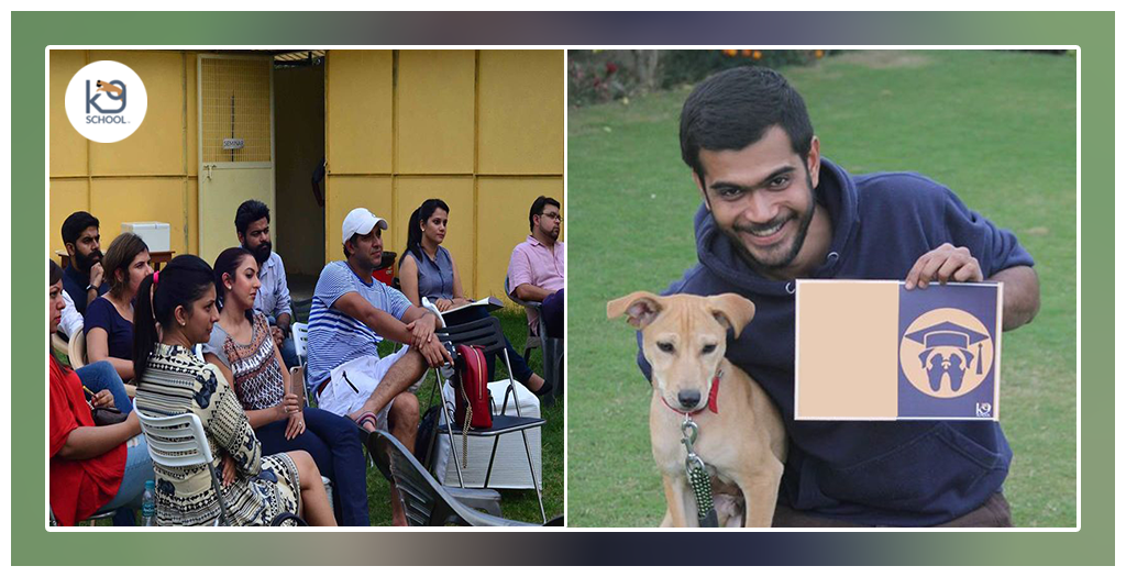 Desi dogs1