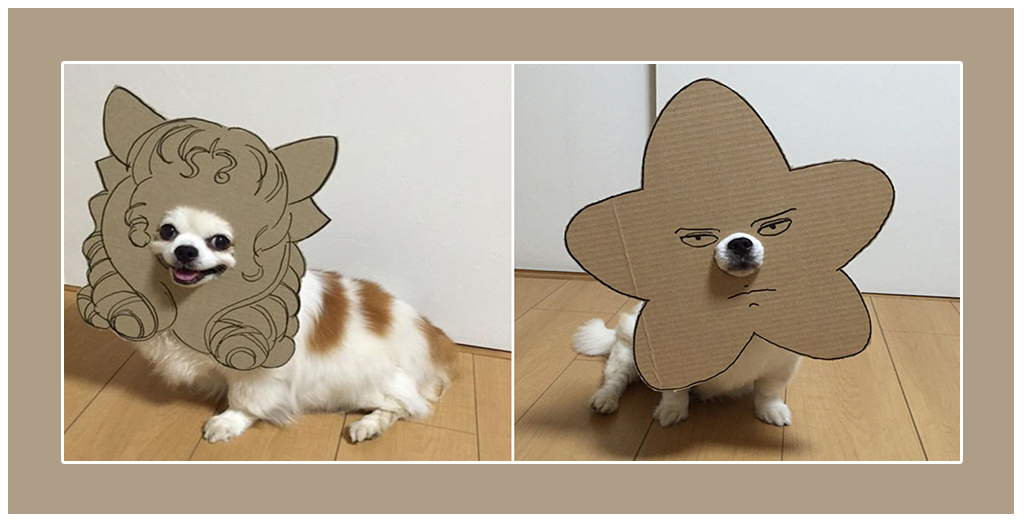 Adorable Cosplay