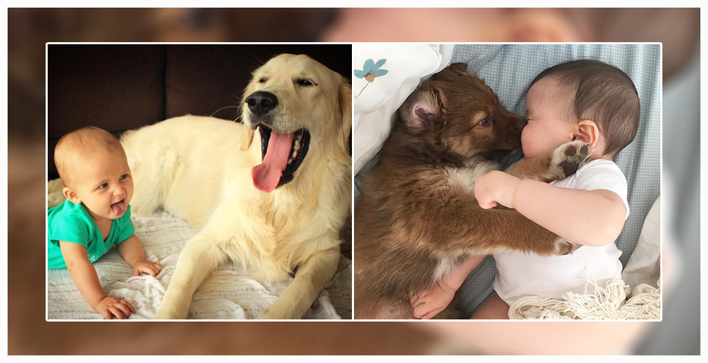Babies And Puppies