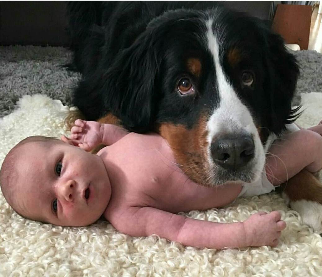 10 Cute Babies And Puppies Who Love Each Other Unconditionally | DogExpress