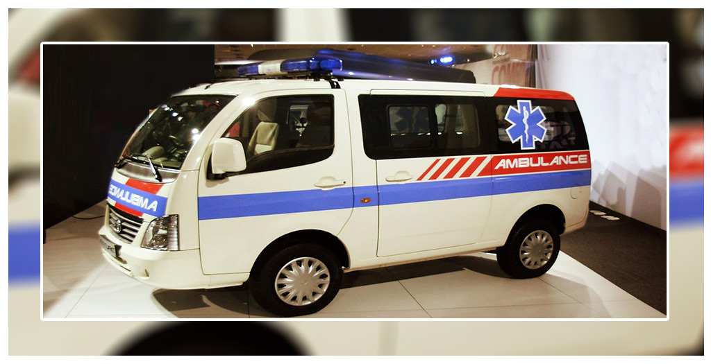 Animal Ambulace_1
