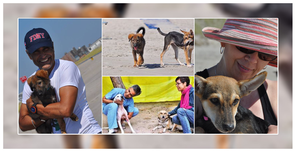 Two People Bring Dog Rescue And Rabies Awareness in Chandigarh | DogExpress