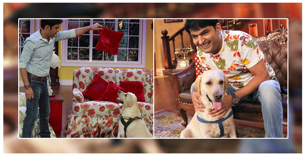 Kapil Sharma