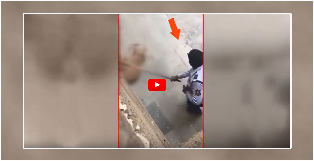 Viral Video