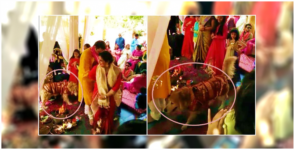 indian wedding