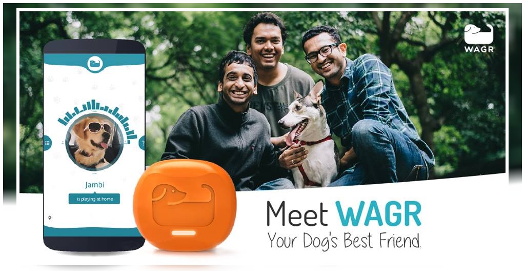 Pet tracking device