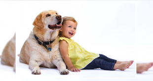 Dog with kid