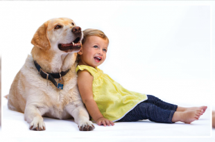 Dog with kid