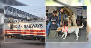 Indian railways dogs