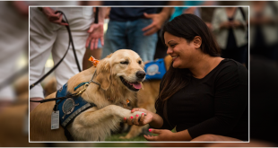 Dog Exercise - The Complete Guide You Need