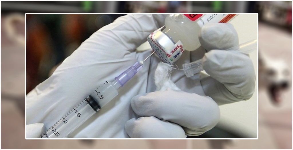 Rabies Vaccine