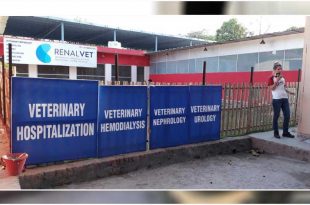 Veterinary Hospitalization
