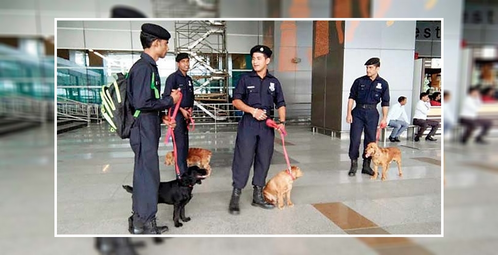 Dog squad