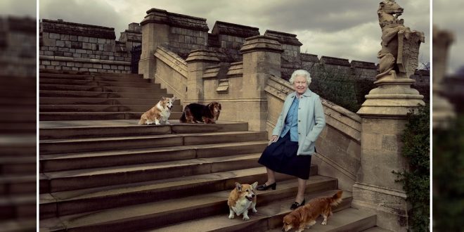 UK Queen Elizabeth Adopts New Corgi