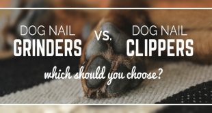 Dog Nail Clippers vs. Grinder