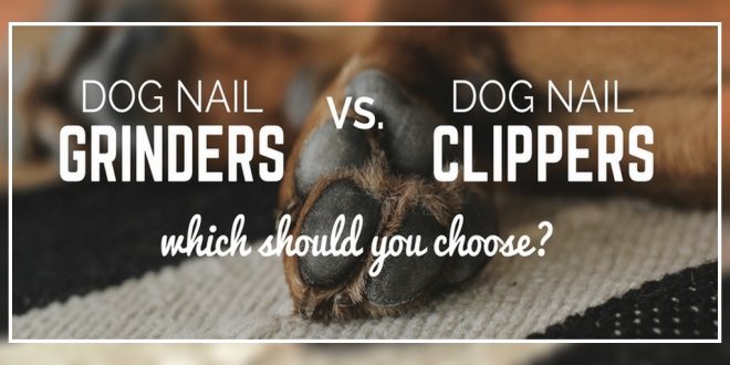 Dog Nail Clippers vs. Grinder