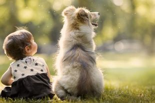 How To Celebrate Friendship Day With Your Pet Dog_1