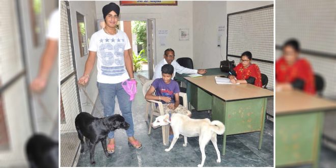 Pet Dogs Registration in Amritsar