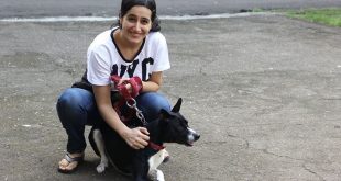 A Stray Dog Changed A Mumbai Girl’s Life