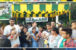 Awareness And Adoption Event in Panchkula