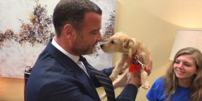 Liev Schreiber Adopts Two Dogs