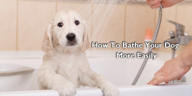 How To Bathe Your Dog More Easily