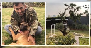 MS Dhoni with his pet dogs