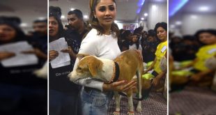Daisy Shah Adopts An Indian Dog