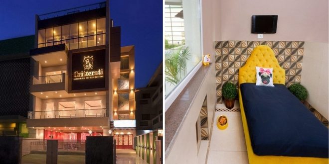 Critterati India's First Luxury Hotel