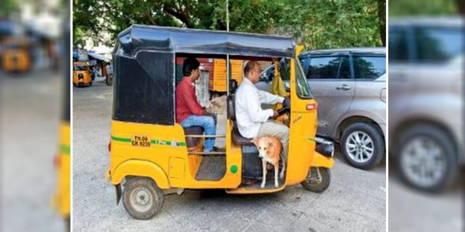 Auto Rickshaw Driver Travels 1 Lakh Kilometer With His Pet Dog