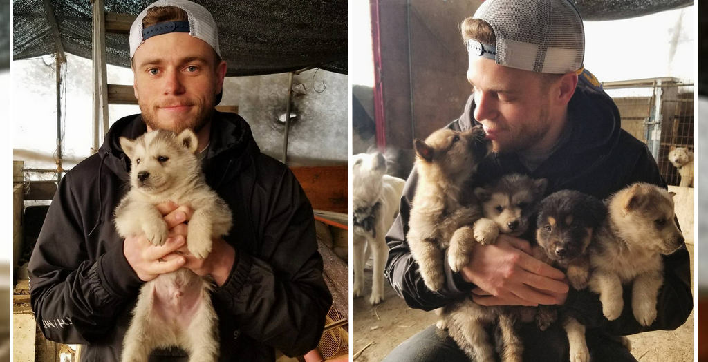 Dog rescued