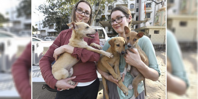 Foreginers adopted stray dogs from India