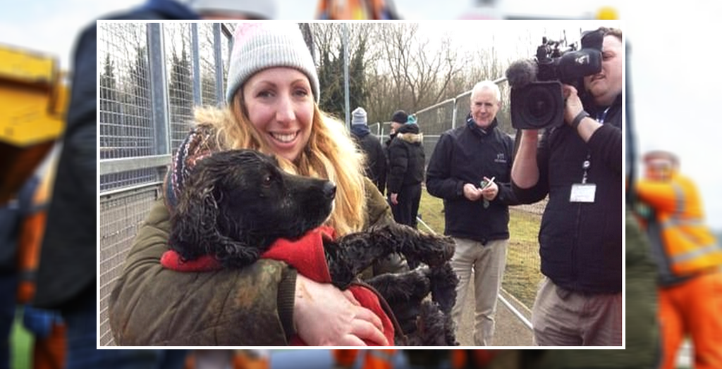 trapped dog freed