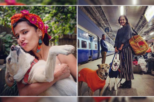 Delhi Woman Exploring India With Her Dogs