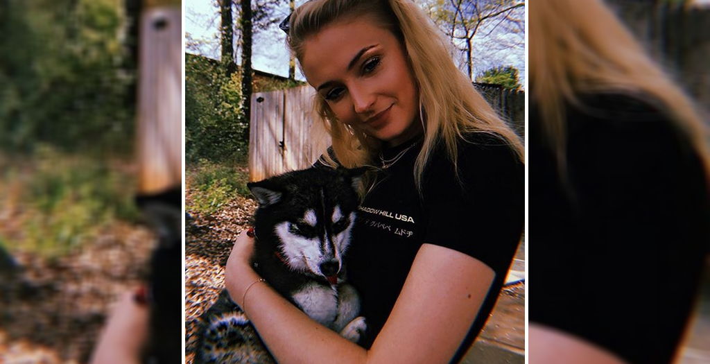 Adopted dog